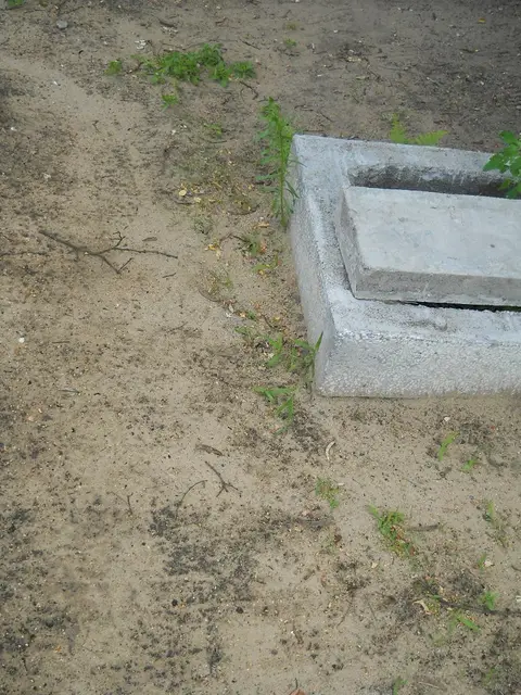 Zdjęcie grobu 5/22577