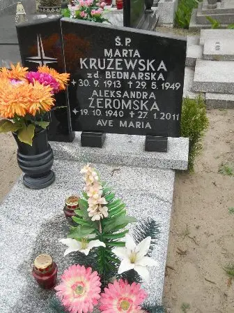 Zdjęcie grobu 22/100
