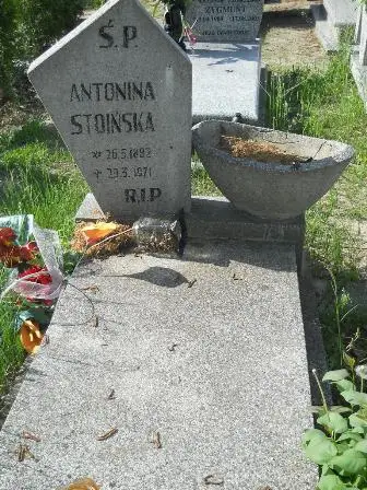 Zdjęcie grobu 20/181
