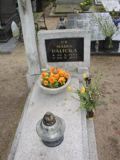 Zdjęcie grobu A/247021