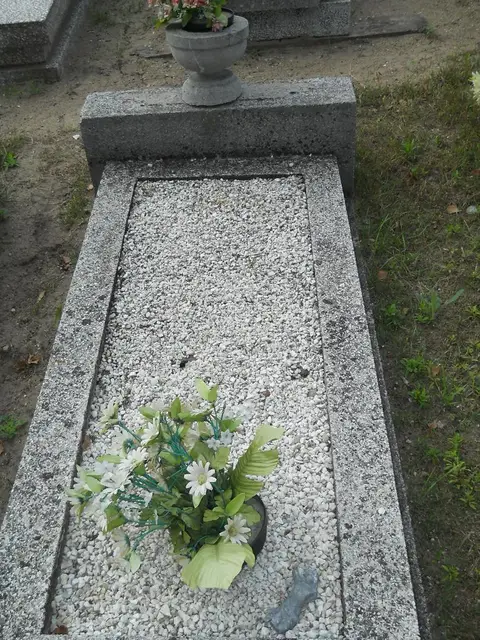Zdjęcie grobu 11/29169