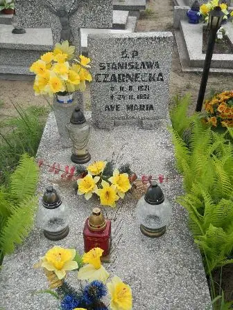 Zdjęcie grobu 42/100