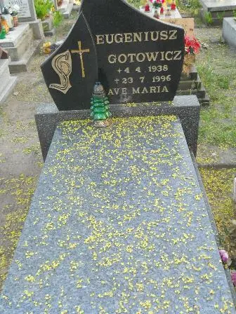 Zdjęcie grobu 7b/80