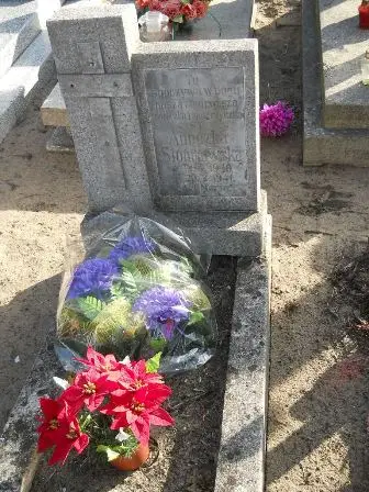 Zdjęcie grobu 100/100