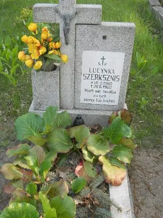 Zdjęcie grobu 7b/100