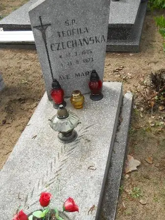 Zdjęcie grobu 38/100