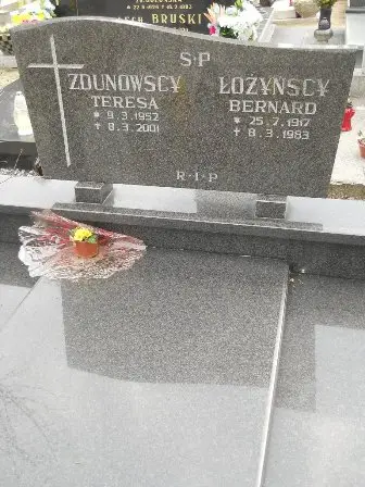 Zdjęcie grobu 43/412,413