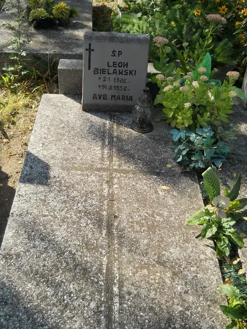 Zdjęcie grobu 17/28114