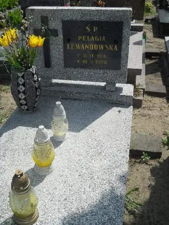 Zdjęcie grobu 25/100