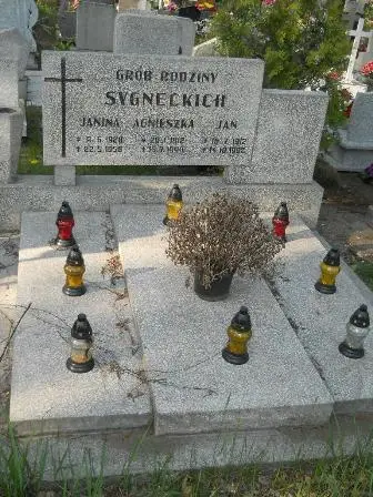 Zdjęcie grobu J/267,268