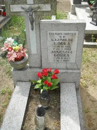 Zdjęcie grobu 20/100
