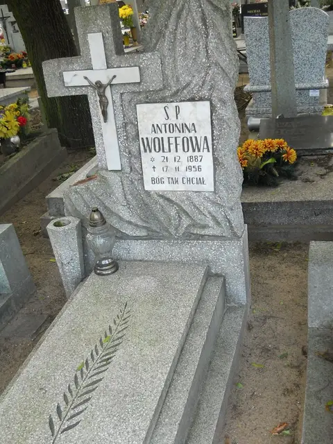 Zdjęcie grobu 12/29553