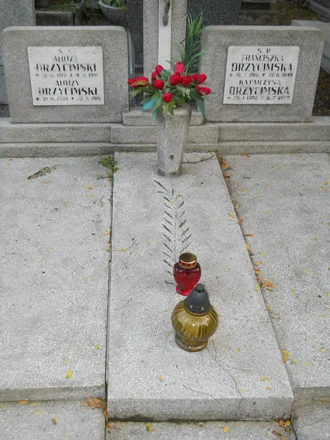 Zdjęcie grobu 14/26970