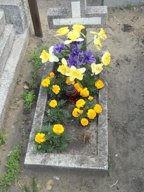 Zdjęcie grobu 7/11522