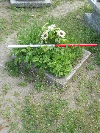 Zdjęcie grobu 23/100