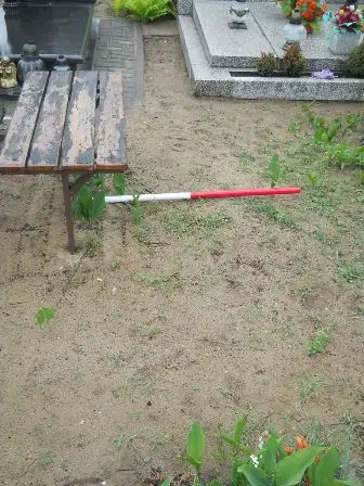 Zdjęcie grobu 36/100