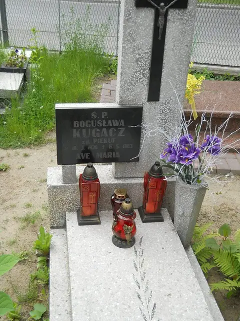Zdjęcie grobu 7/11706