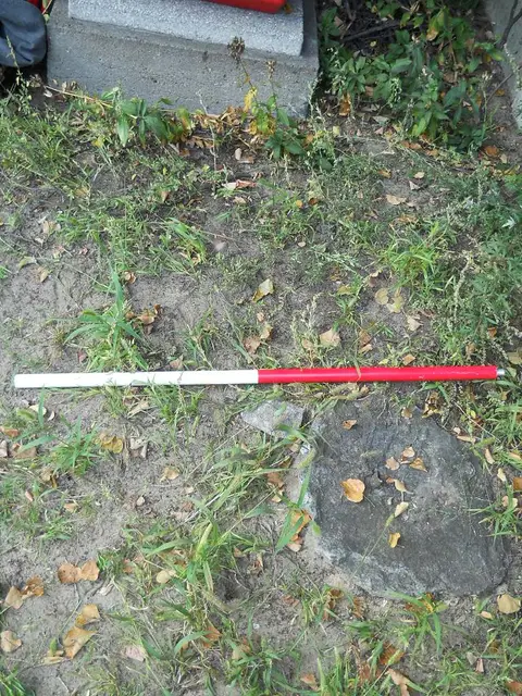 Zdjęcie grobu 15/26791