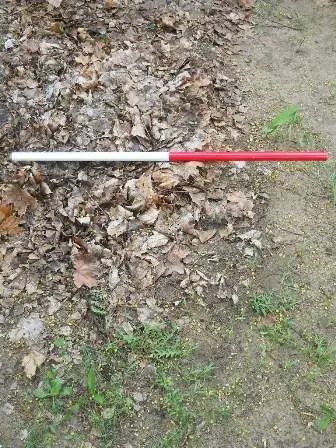Zdjęcie grobu 32/100