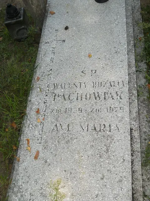Zdjęcie grobu 14/27247