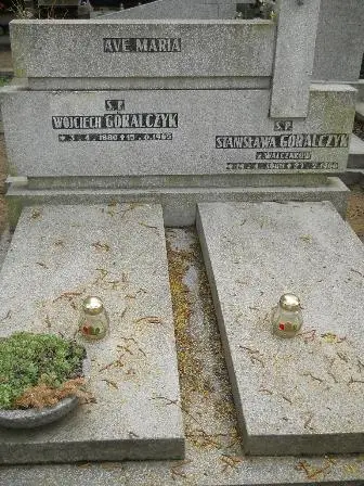 Zdjęcie grobu 33/15,16