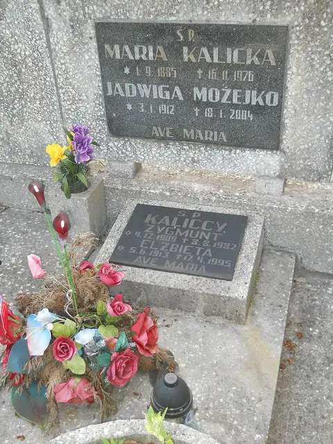 Zdjęcie grobu 8/10581