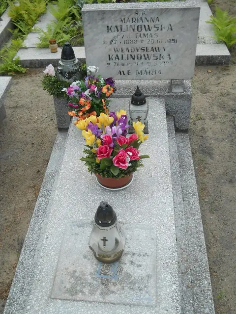 Zdjęcie grobu 9/24580