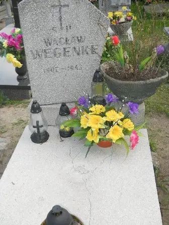 Zdjęcie grobu 23/100