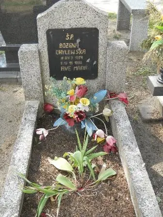 Zdjęcie grobu 25/28n