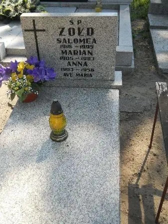 Zdjęcie grobu 28/100