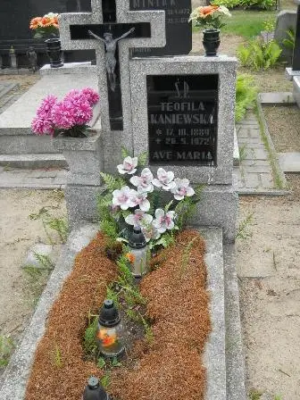 Zdjęcie grobu 40/100