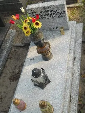 Zdjęcie grobu 9a/29