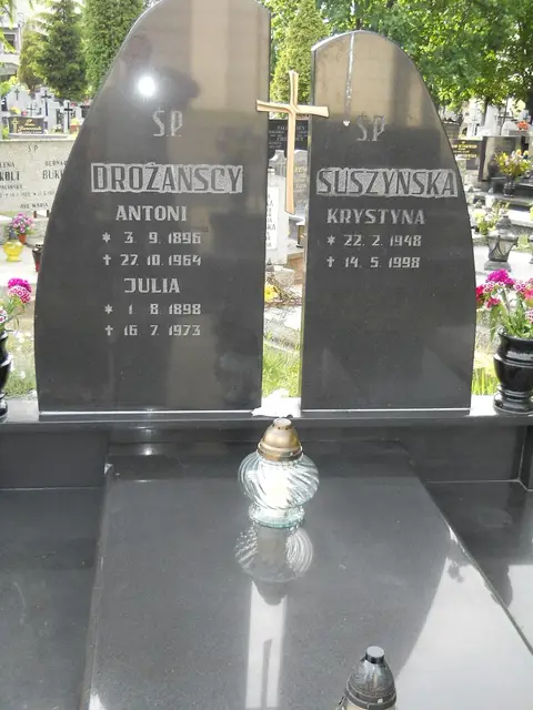 Zdjęcie grobu 8/10691