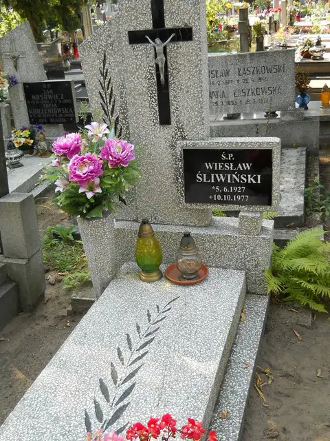 Zdjęcie grobu 19/28513