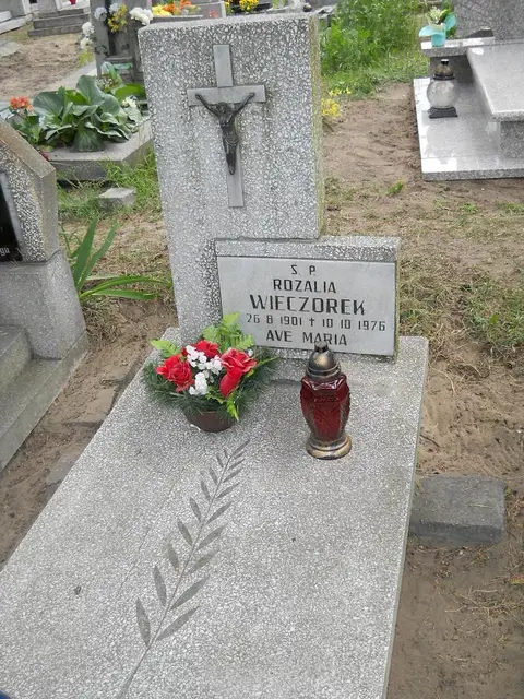 Zdjęcie grobu 7/11152