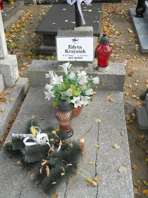 Zdjęcie grobu 15/26802