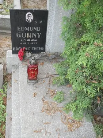 Zdjęcie grobu 23/100
