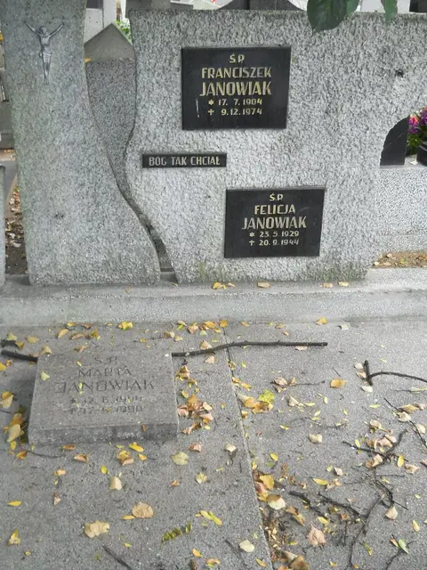 Zdjęcie grobu 14/26996
