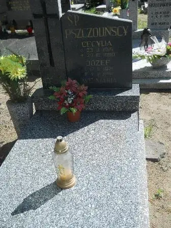 Zdjęcie grobu 46/184