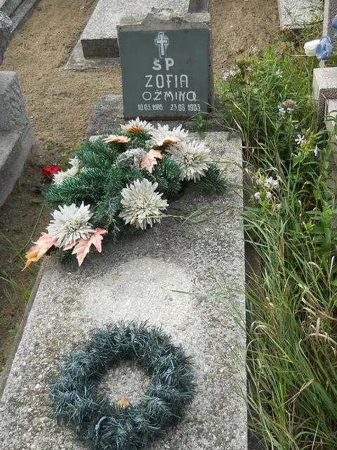 Zdjęcie grobu 11/29193