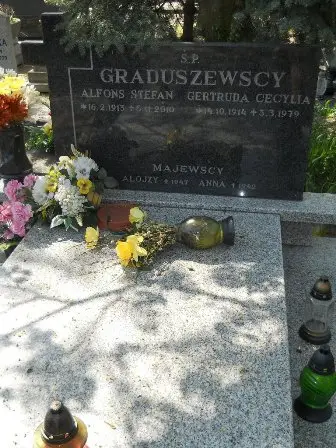 Zdjęcie grobu 11/100
