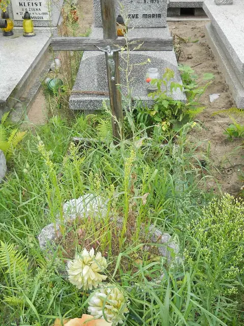 Zdjęcie grobu 5/22384