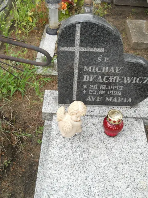 Zdjęcie grobu 21/23879