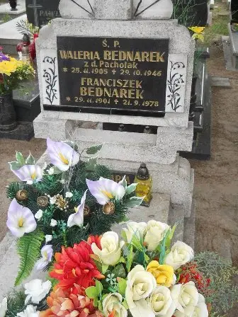 Zdjęcie grobu 23/159