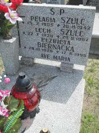 Zdjęcie grobu 25/87