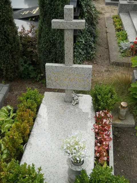 Zdjęcie grobu 9/24568