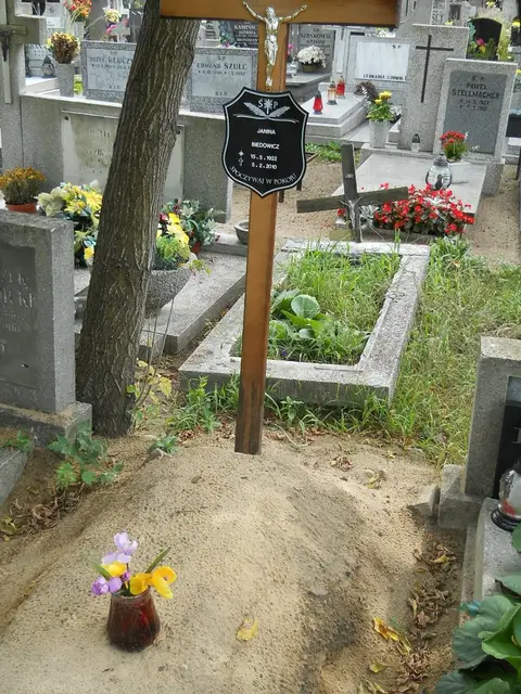 Zdjęcie grobu 16/26248