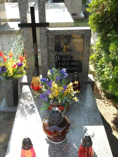 Zdjęcie grobu 7/11987