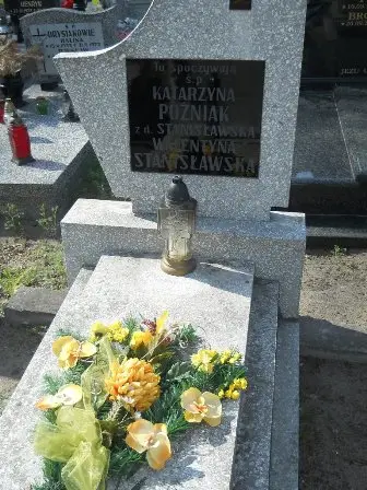 Zdjęcie grobu 24/298