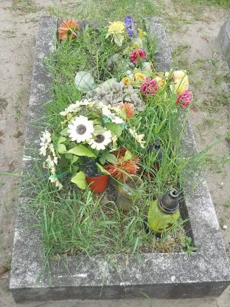 Zdjęcie grobu 22/100